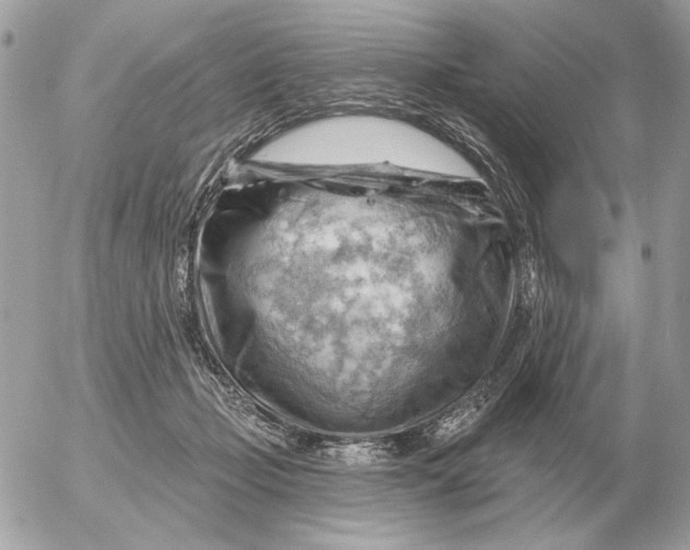 X0000052640365200507221821