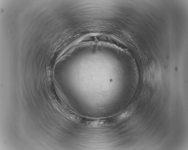 X0000052640366200507221821