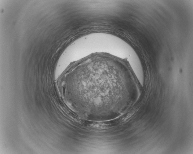 X0000052640367200507221821