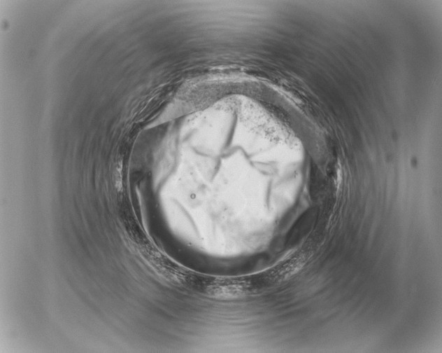 X0000052640368200507221821