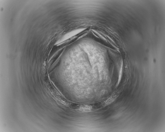 X0000052640369200507221821