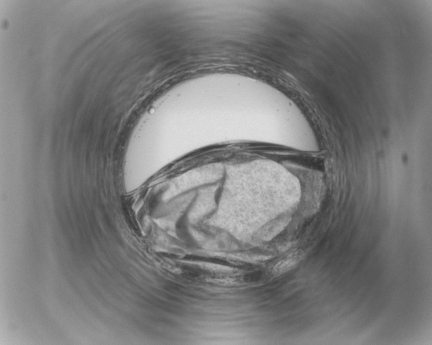 X0000052640370200507221821