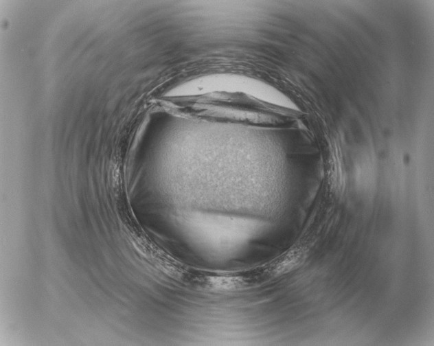 X0000052640371200507221821