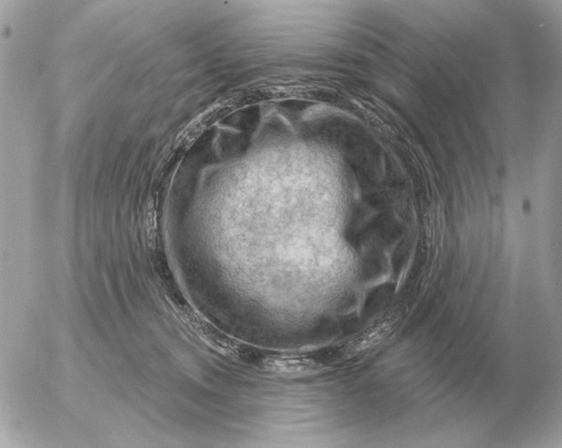 X0000052640372200507221821