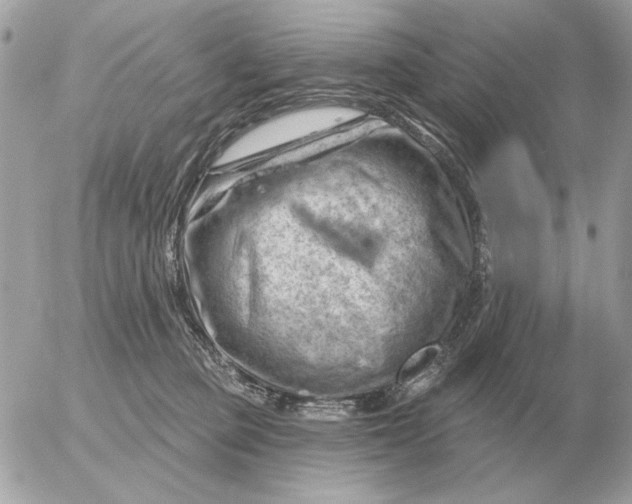 X0000052640373200507221822