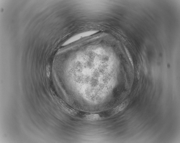 X0000052640374200507221822