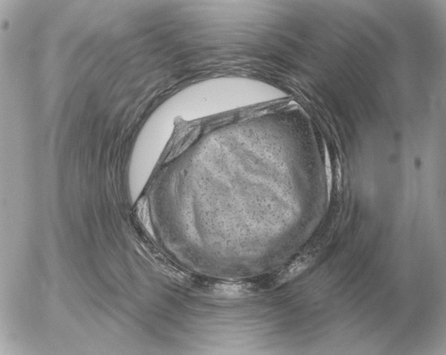 X0000052640375200507221822