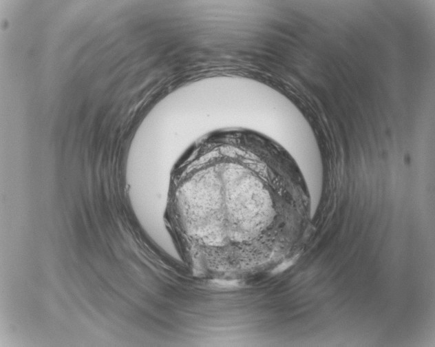 X0000052640376200507221822