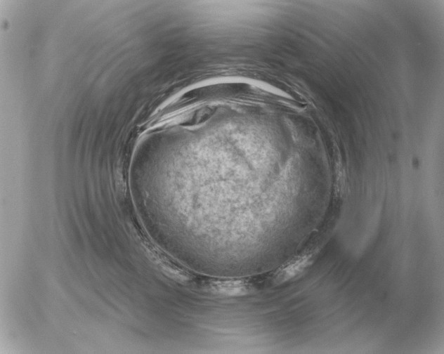 X0000052640377200507221822