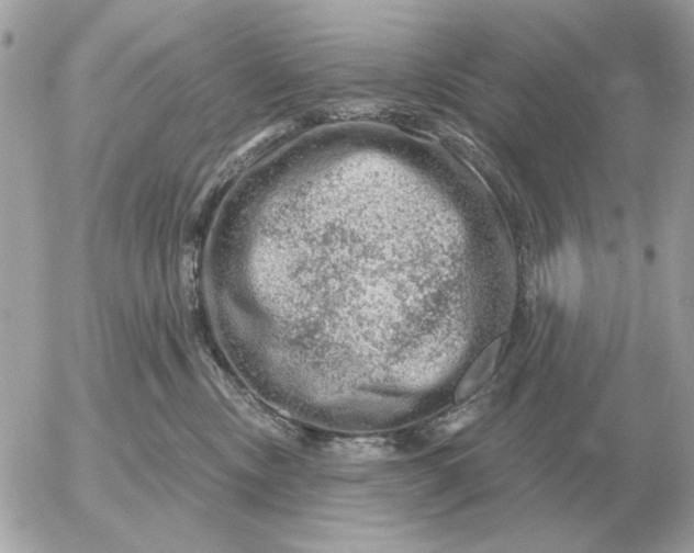 X0000052640378200507221822