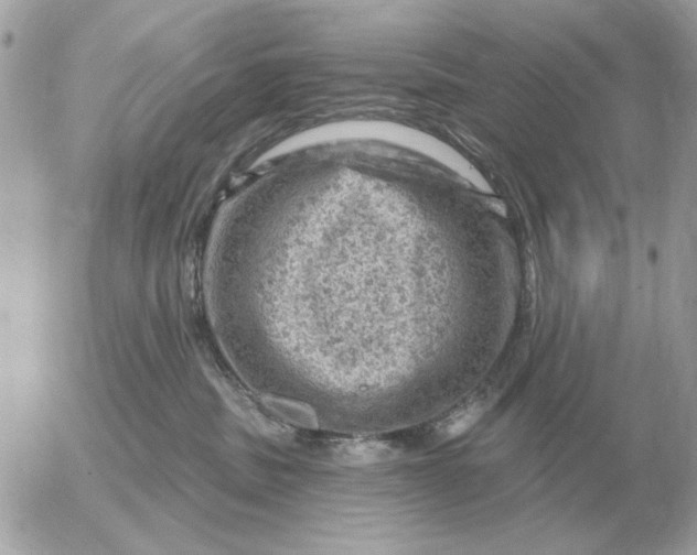 X0000052640379200507221822