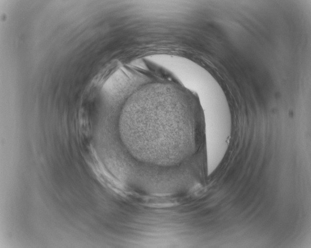 X0000052640380200507221822