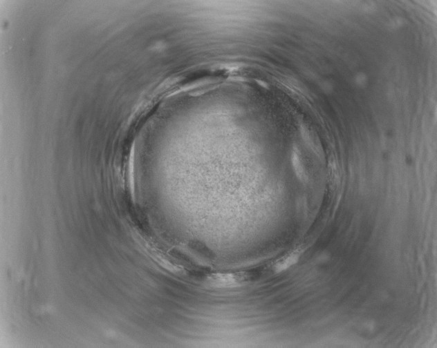 X0000052640381200507221822