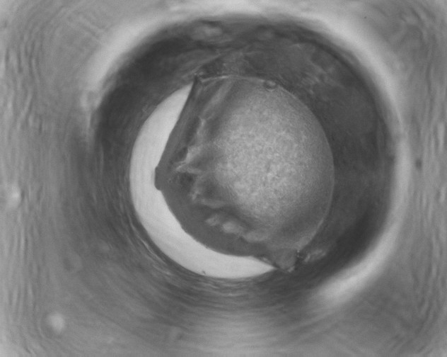 X0000052640382200507221822