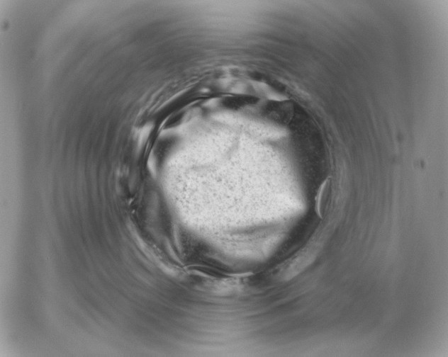 X0000052640384200507221822