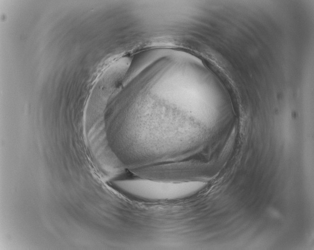 X0000052640385200507221821