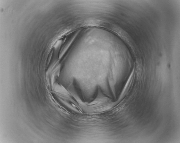 X0000052640386200507221821