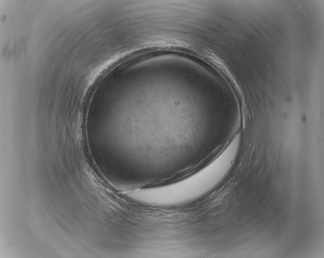 X0000052640387200507221821