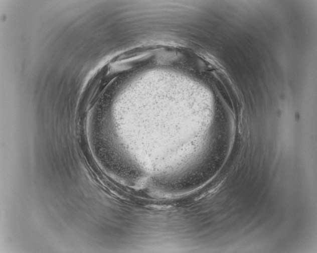 X0000052640388200507221821