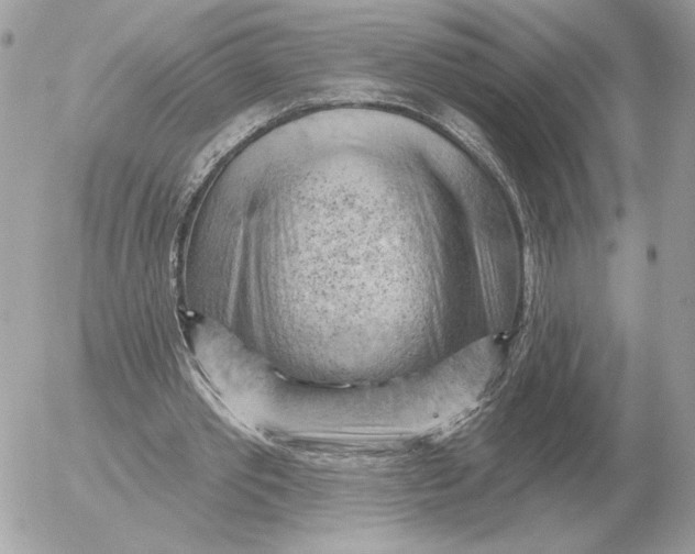 X0000052640389200507221821