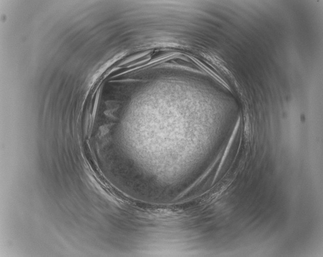 X0000052640390200507221821