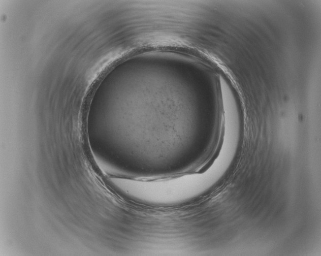 X0000052640391200507221821