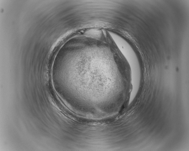 X0000052640392200507221821