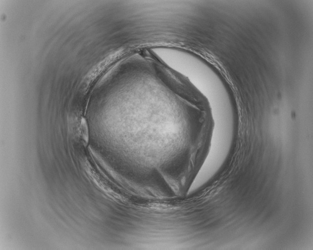 X0000052640393200507221821