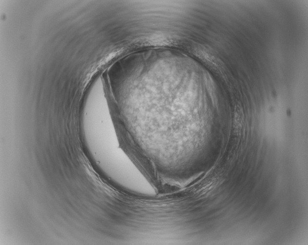 X0000052640394200507221821