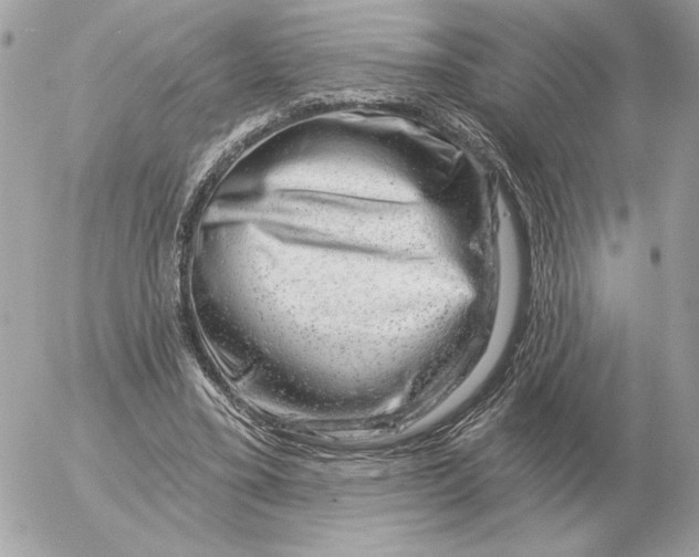 X0000052640395200507221821