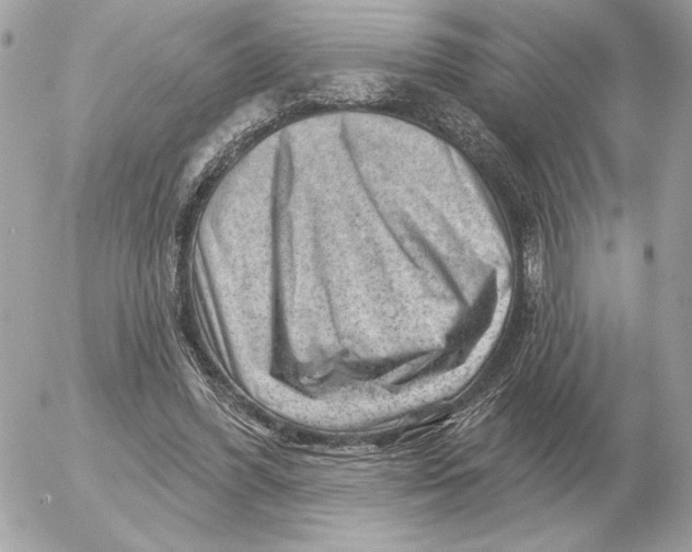 X0000052640396200507221821