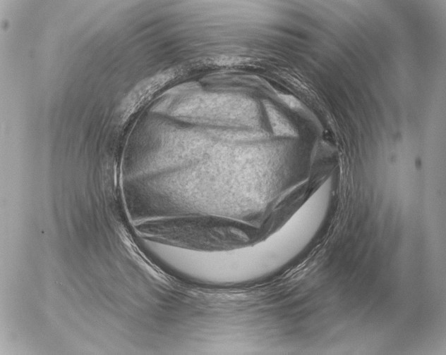 X0000052640397200507221821