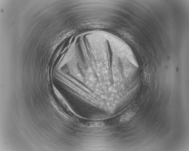 X0000052640398200507221821