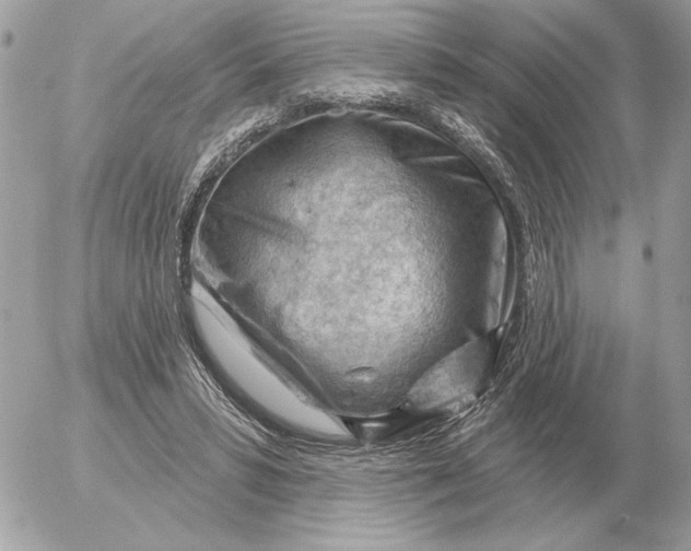 X0000052640399200507221821