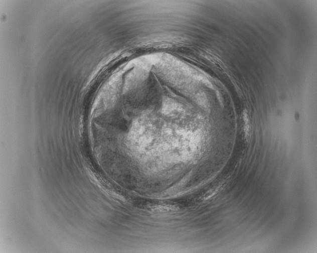 X0000052640400200507221821