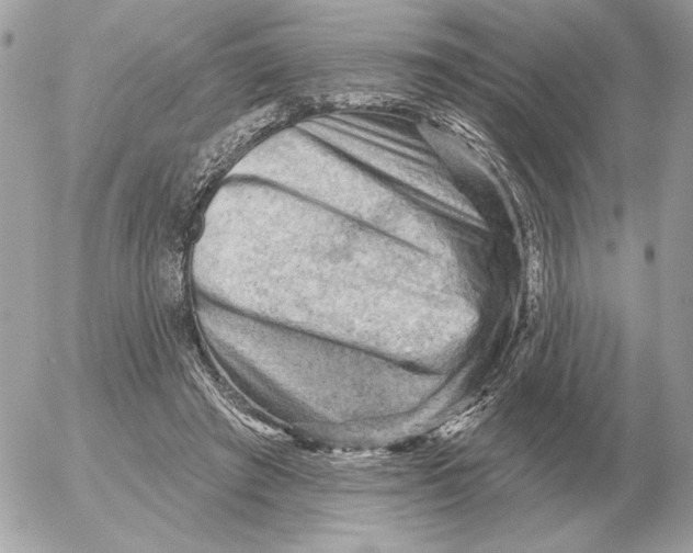 X0000052640401200507221821