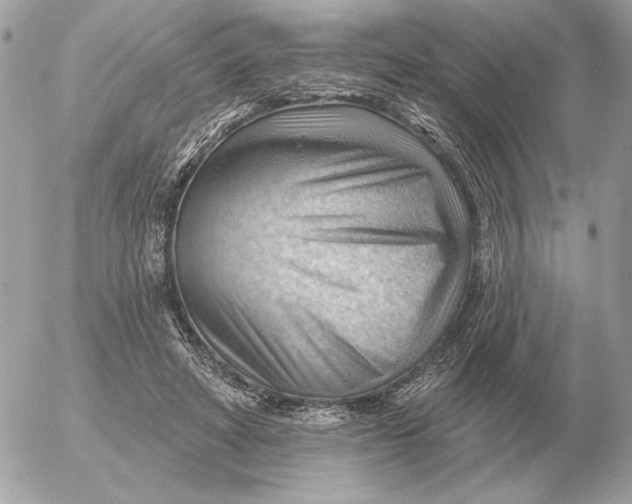 X0000052640402200507221821