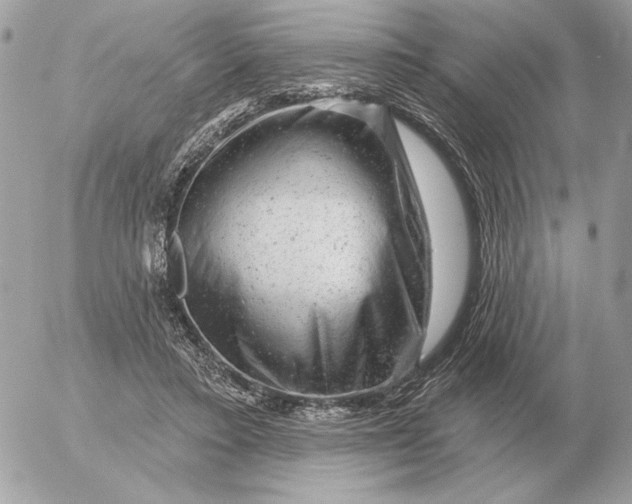 X0000052640403200507221821