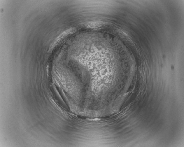 X0000052640404200507221821