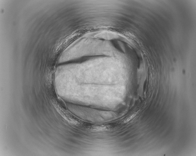 X0000052640405200507221821