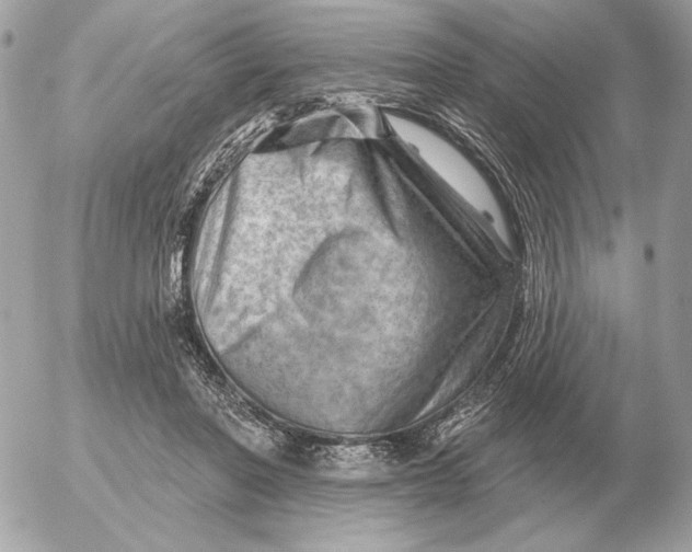 X0000052640406200507221821