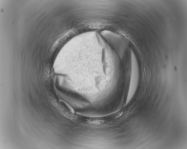 X0000052640407200507221821