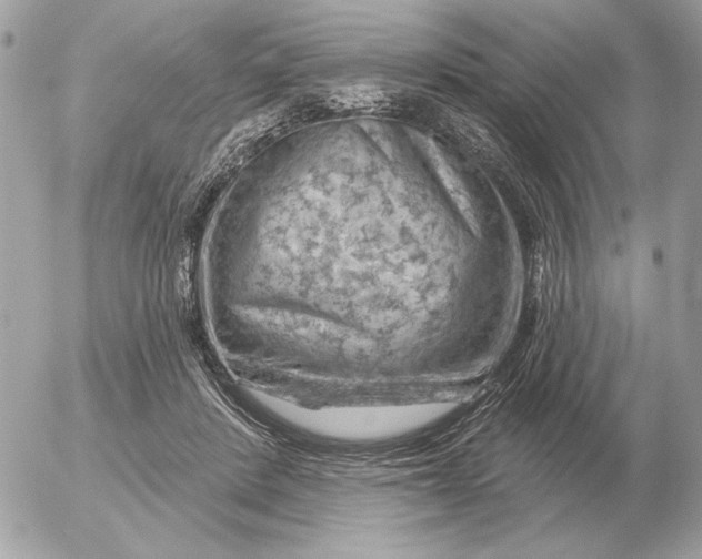 X0000052640408200507221821