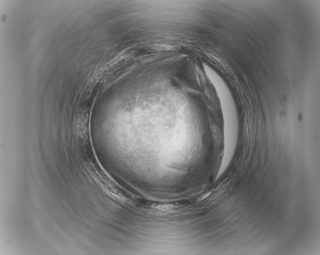 X0000052640409200507221821