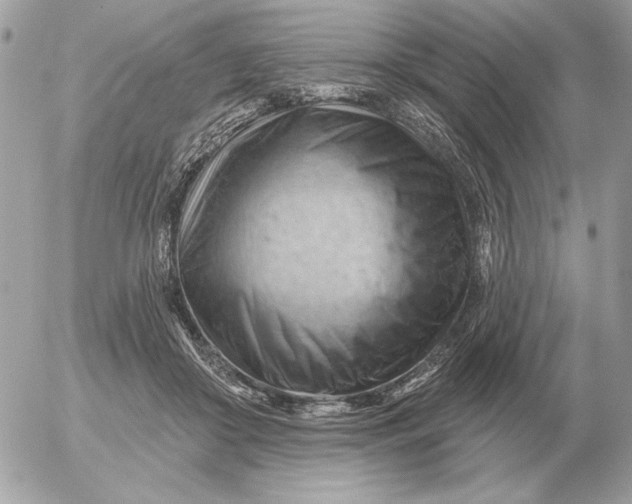 X0000052640410200507221820