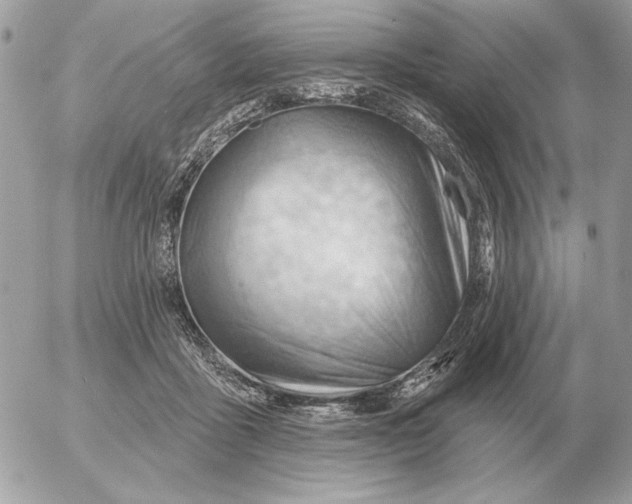 X0000052640411200507221820