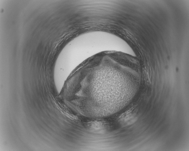 X0000052640412200507221820