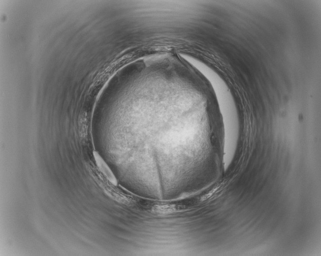 X0000052640413200507221820