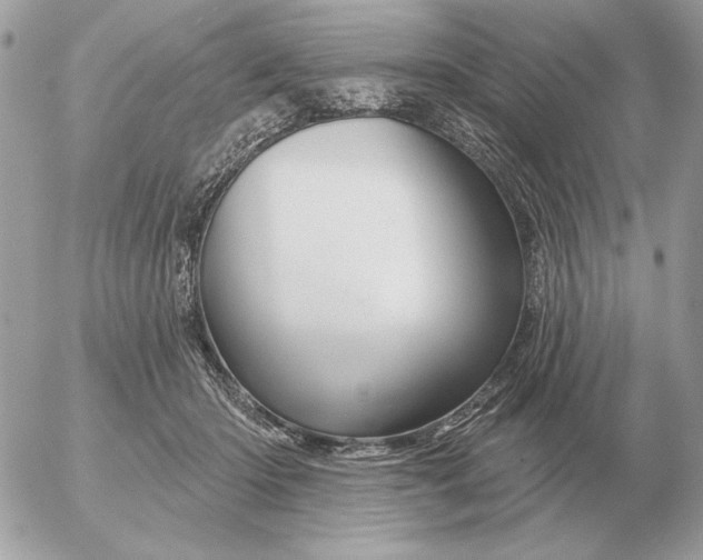 X0000052640414200507221820