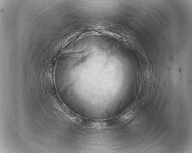 X0000052640415200507221820